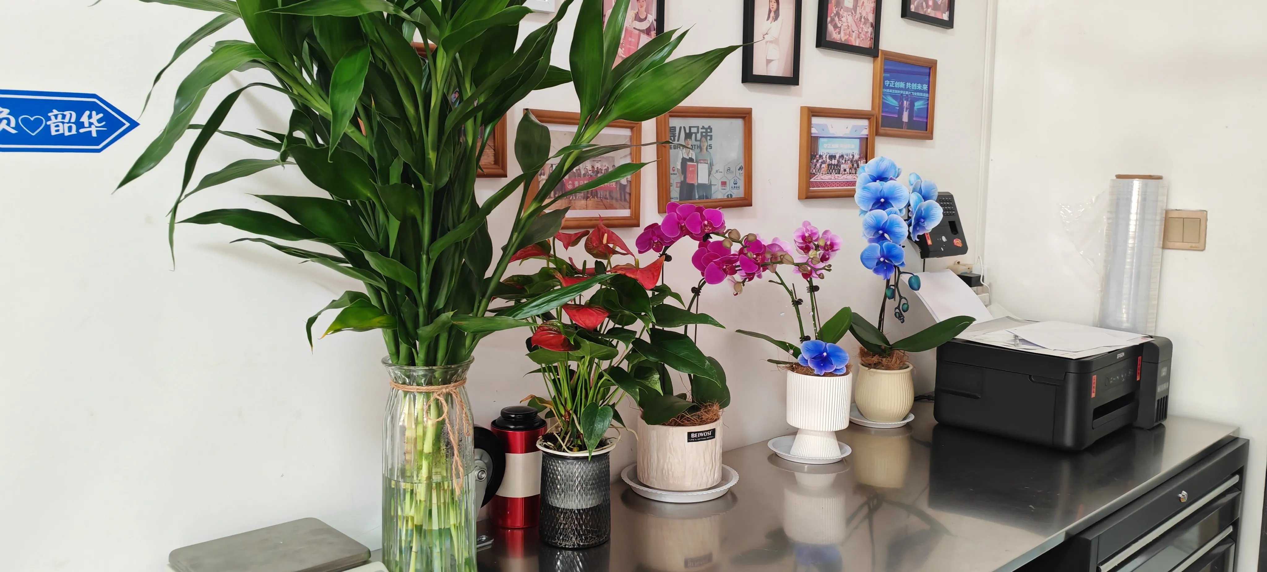 JOJO Pack च्या नवीन मित्रांचे स्वागत आहे!