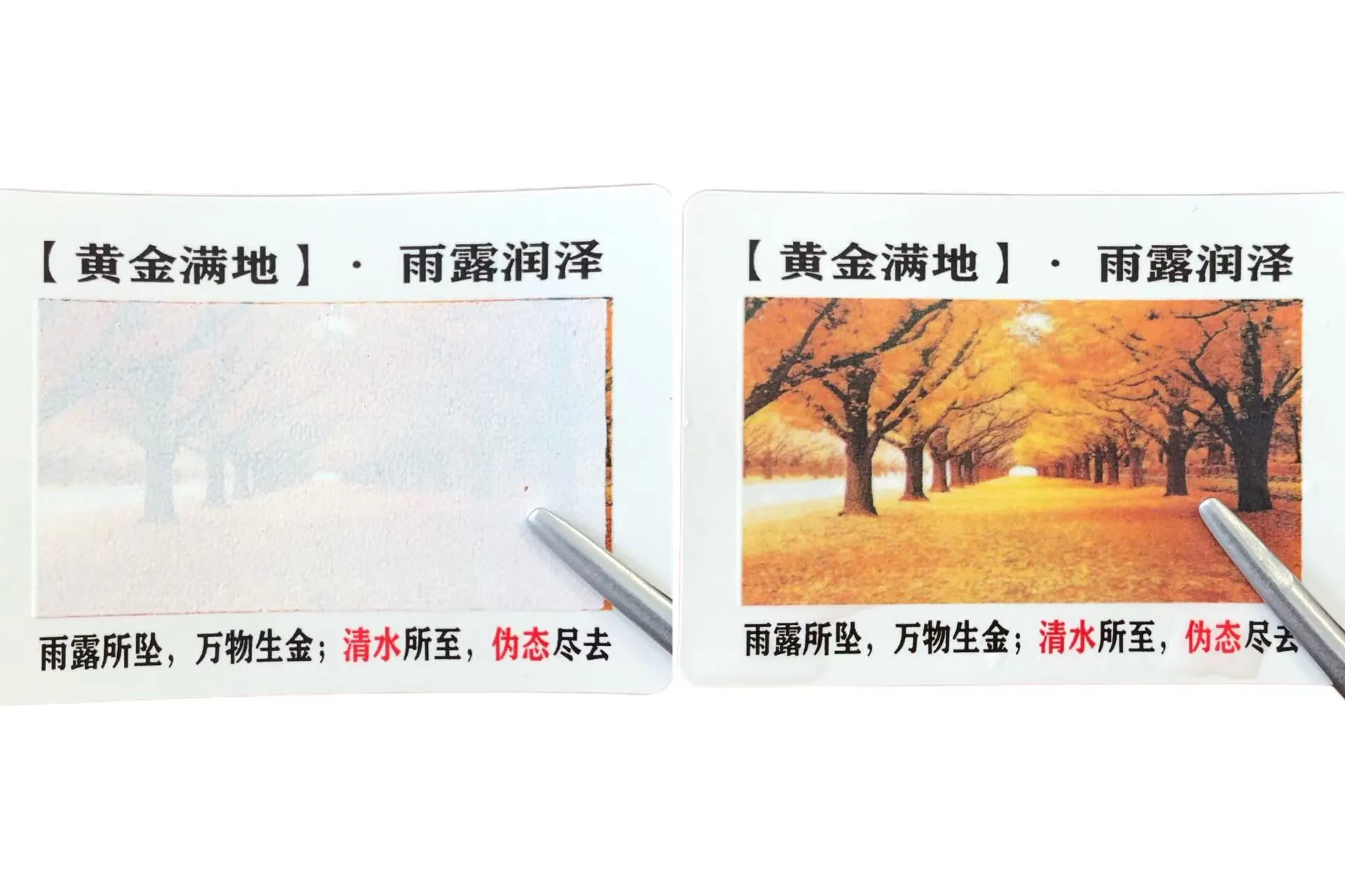 तुम्हाला रंग बदलणारी पाणी संवेदनशील लेबले माहीत आहेत का?