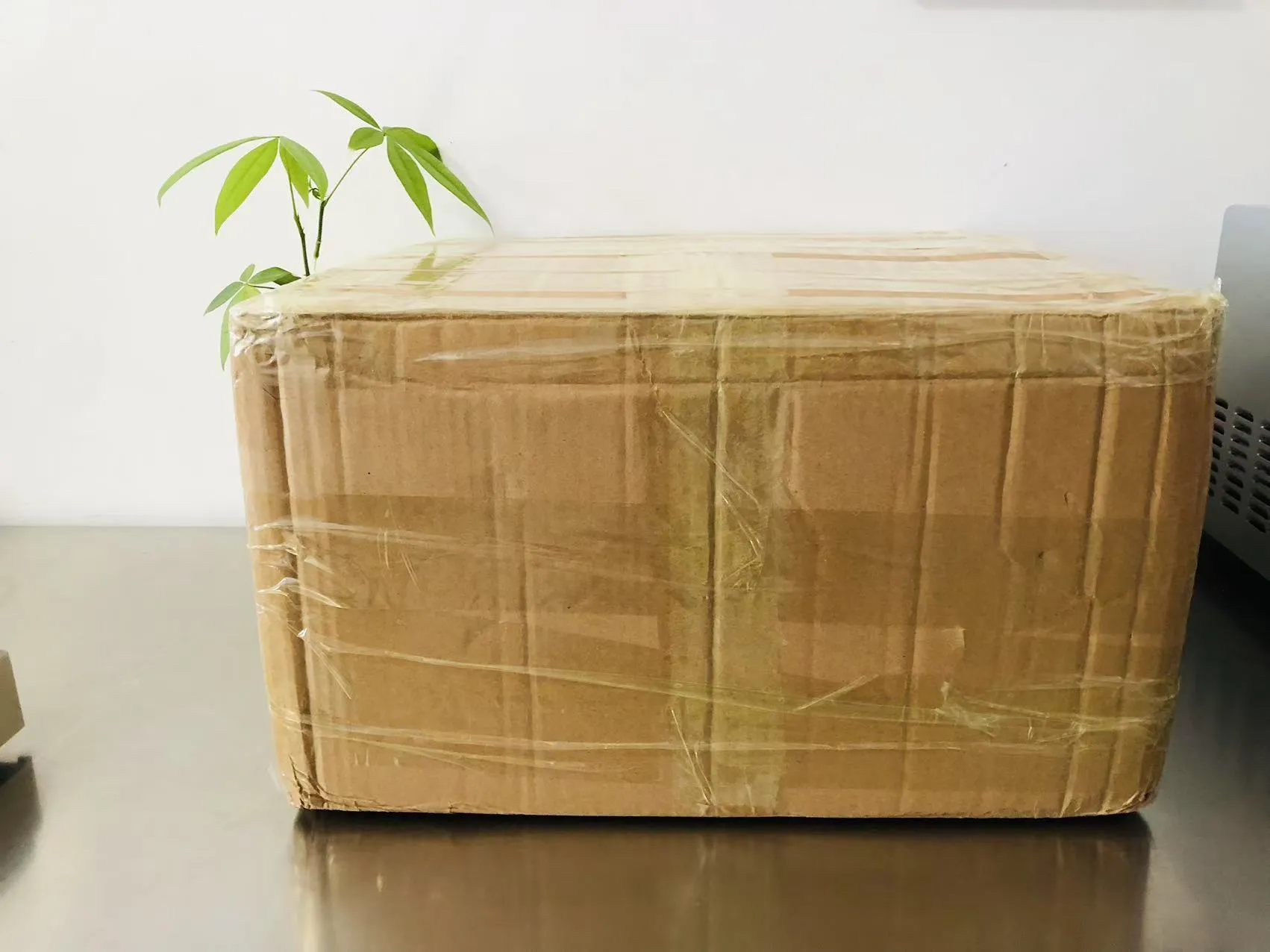 कार्टून सॉलिड इपॉक्सी स्टिकर्स आता जपानच्या वाटेवर आहेत